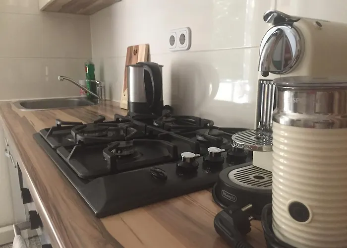 维斯特度假公寓 *